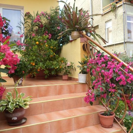 Guest House Stoyanovi Черноморець Екстер'єр фото